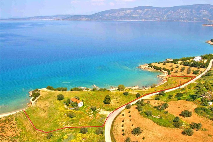 Realty photo 2