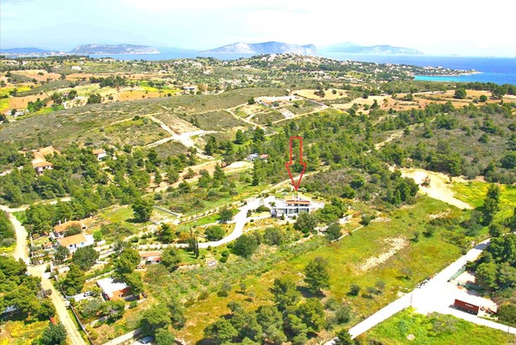 Realty photo 3