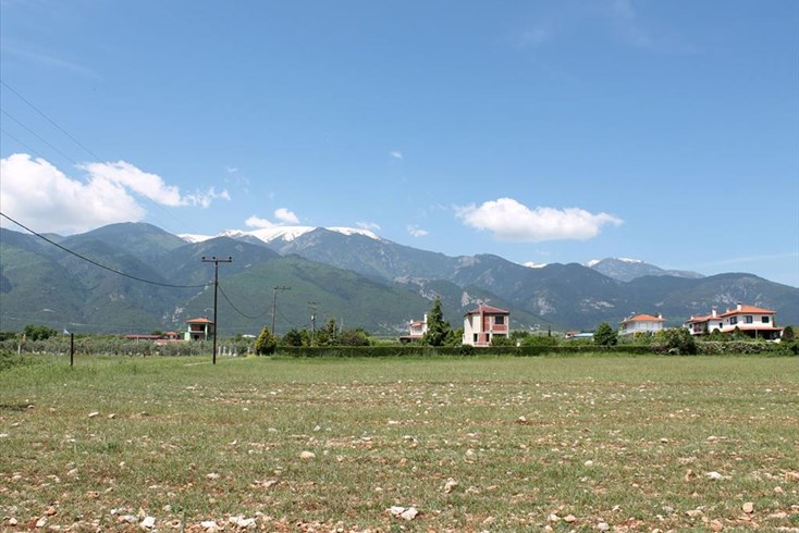 Realty photo 1