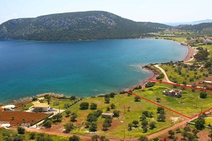 Realty photo 1