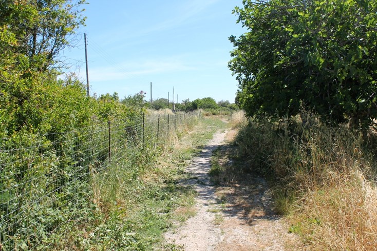 Realty photo 3