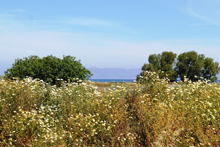 Realty photo 2