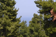 Property 10723 photo 6