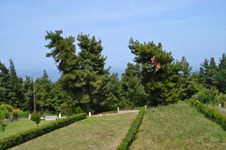 Property 10723 photo 17