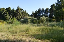 Property 10724 photo 3