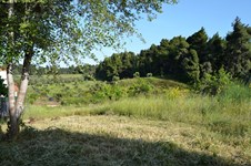 Property 10724 photo 2