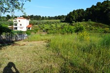 Property 10724 photo 4