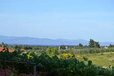 Property 10724 photo 1