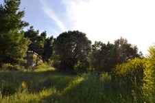 Property 10724 photo 5