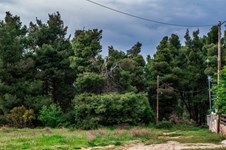 Property 10726 photo 19