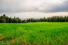 Property 10726 photo 39