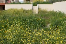 Property 10726 photo 31