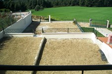 Property 10726 photo 37