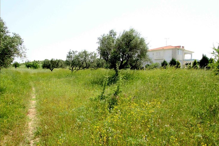 Realty photo 2