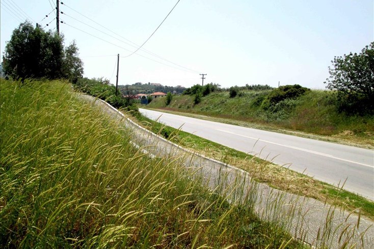 Realty photo 1