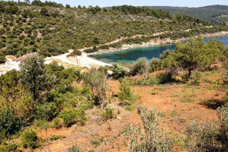 Realty photo 2