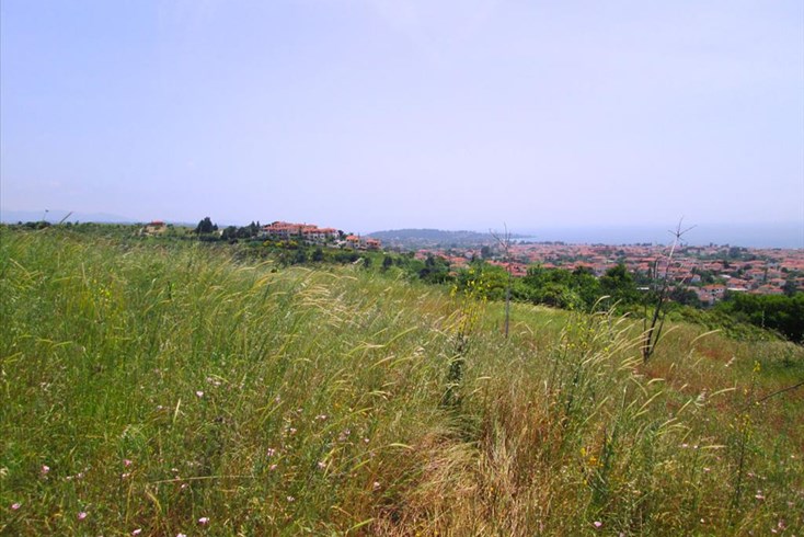 Realty photo 2