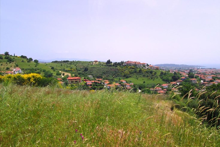 Realty photo 3