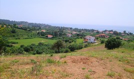 Land 7230 m² in Sithonia, Chalkidiki