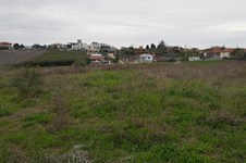 Property 10772 photo 5