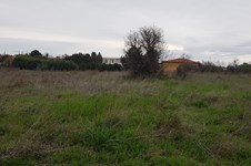 Property 10772 photo 6