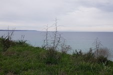 Property 10772 photo 2