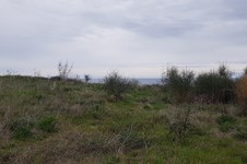 Property 10772 photo 3