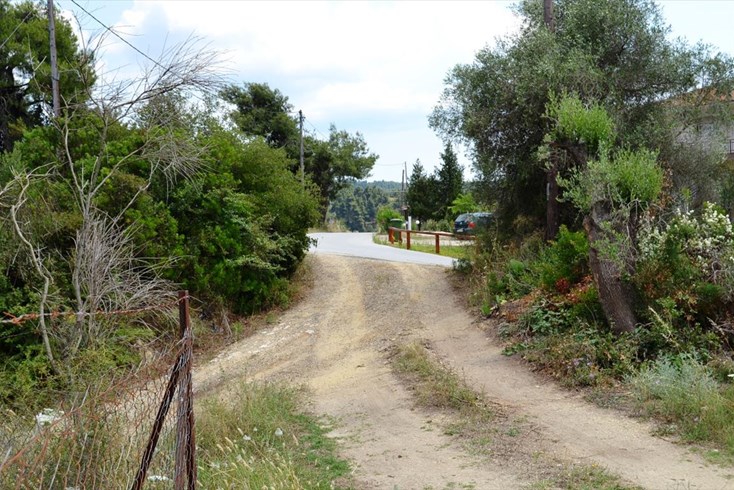 Realty photo 3