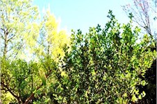 Property 10827 photo 10