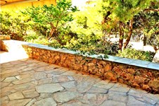 Property 10827 photo 8