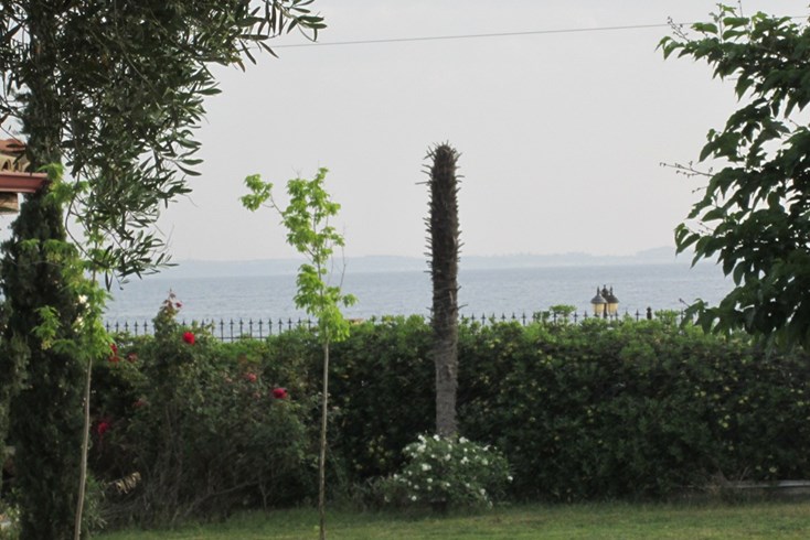 Realty photo 1