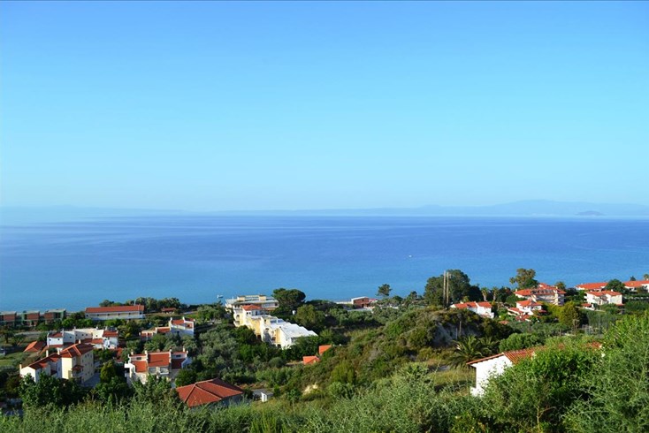 Realty photo 1