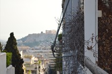 Property 10847 photo 10