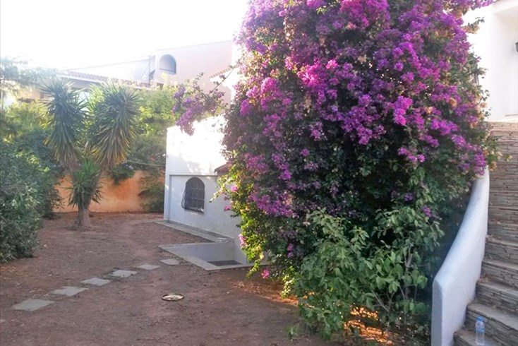 Realty photo 3
