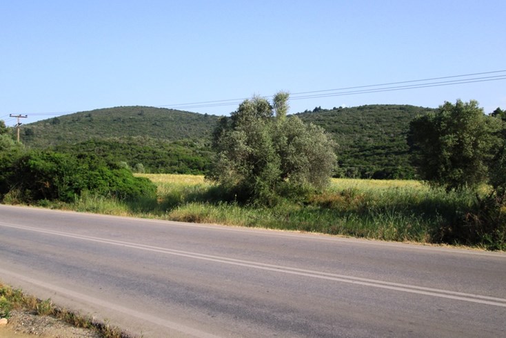 Realty photo 2