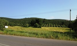 Land 12000 m² auf Sithonia (Chalkidiki)