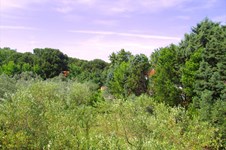 Property 10903 photo 10