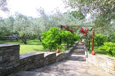 Property 10903 photo 13