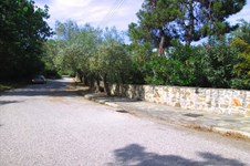 Property 10903 photo 20