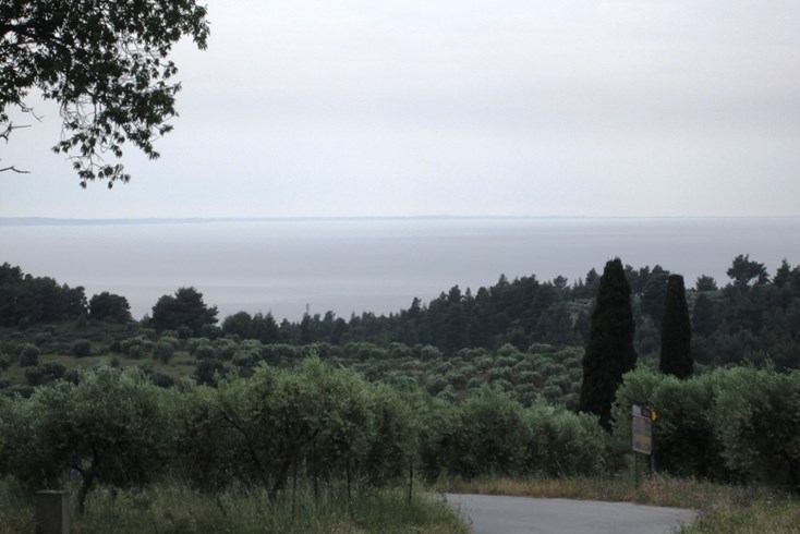 Realty photo 1