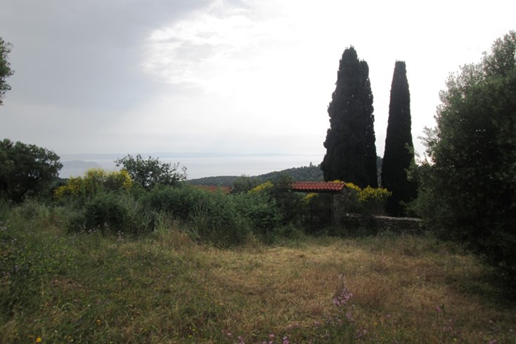 Realty photo 3