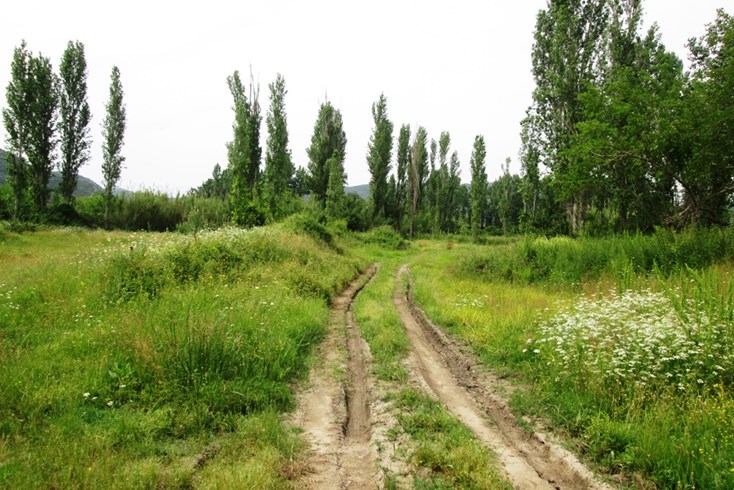 Realty photo 1