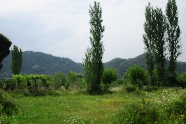 Realty photo 2