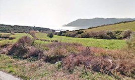 Land 14000 m² in central Greece