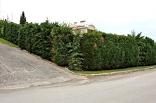 Property 10941 photo 19