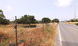 Land 4613 m² auf Kreta
