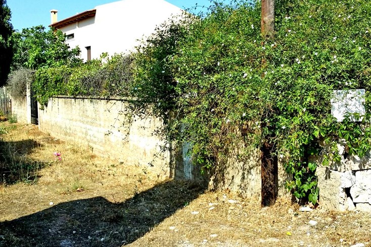 Realty photo 1