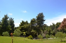 Property 10968 photo 21