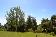 Property 10968 photo 22