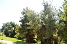 Property 10968 photo 23